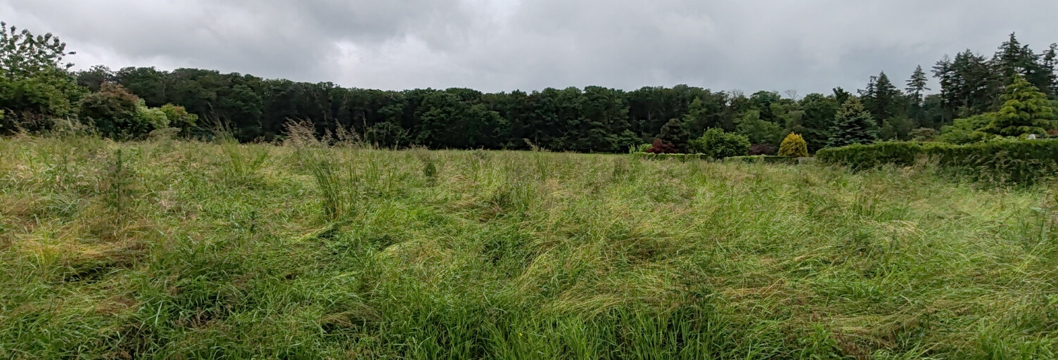 Terrain  992 m² à vendre à Crépy-en-Valois (60800)