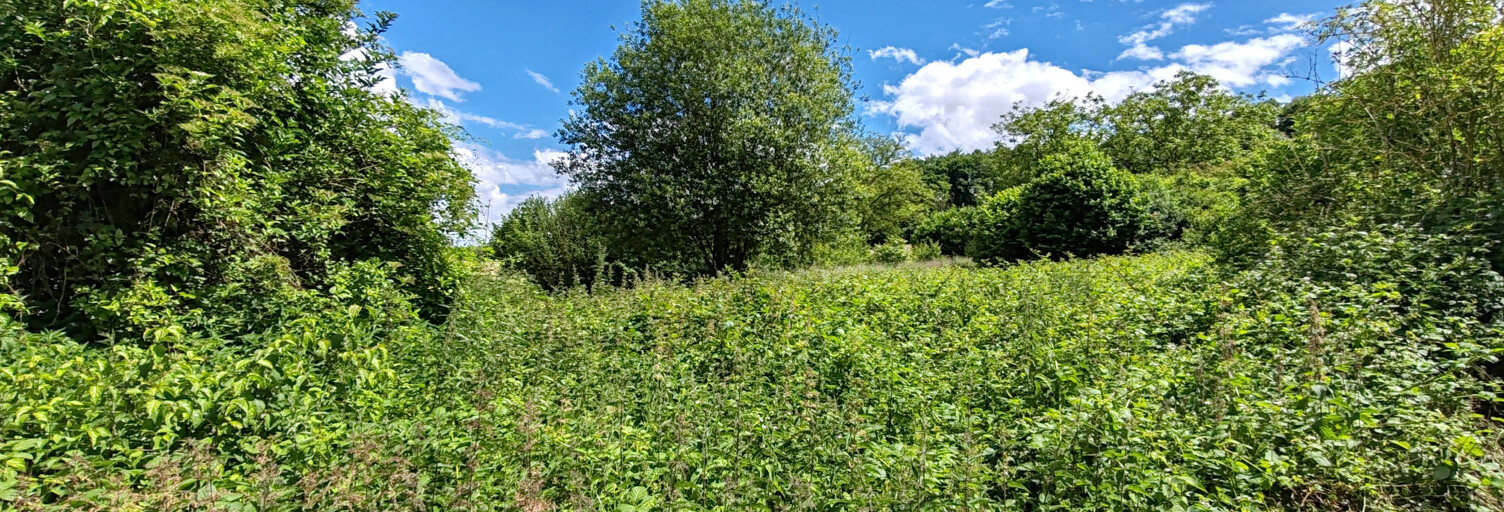 Terrain  1493 m² à vendre à Villers-Cotterêts (02600)