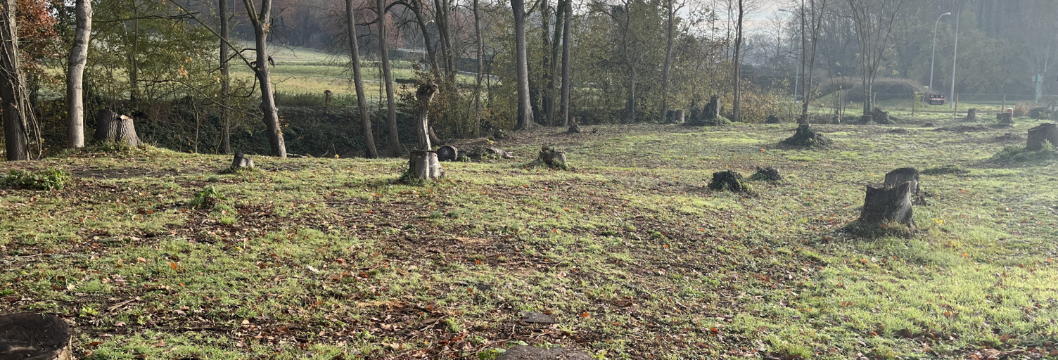 Terrain  1220 m² à vendre à Neuilly-Saint-Front (02470)