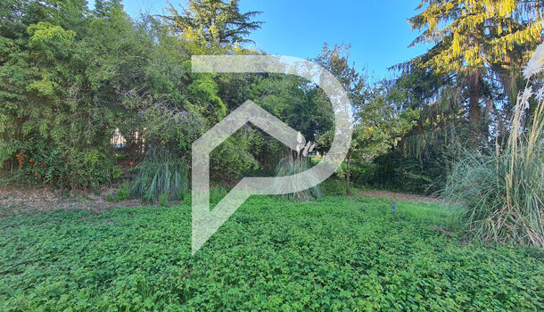 Terrain  à vendre Orthez 64300