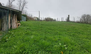 Photo N° 3