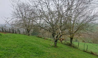 Photo N° 4