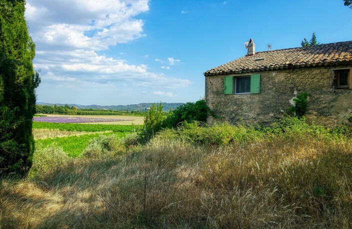 Exclusivité Mas en pierre en campagne de cucuron — photo 2