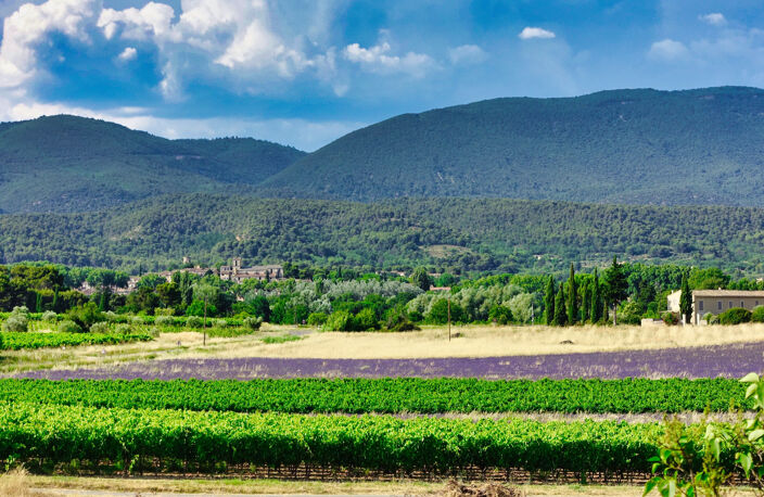 Exclusivité Mas en pierre en campagne de cucuron — photo 5