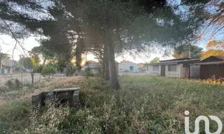 Photo N° 4