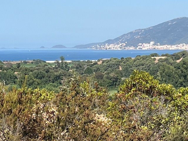 Terrain  à vendre Porticcio 20166