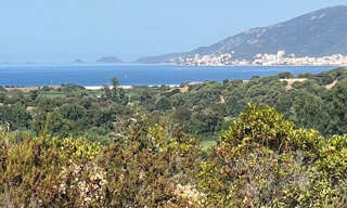 Terrain  15074 m² à vendre à Albitreccia (20166)