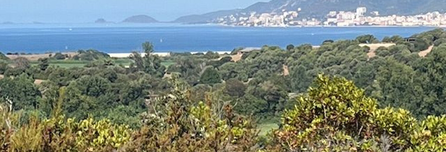 Terrain  15074 m² à vendre à Albitreccia (20166)