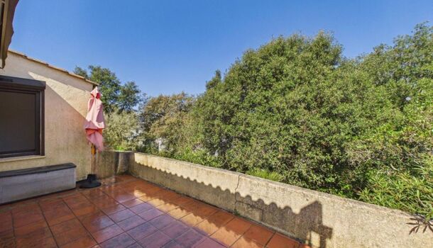 Appartement 2 pièces  à vendre Pietrosella 20166