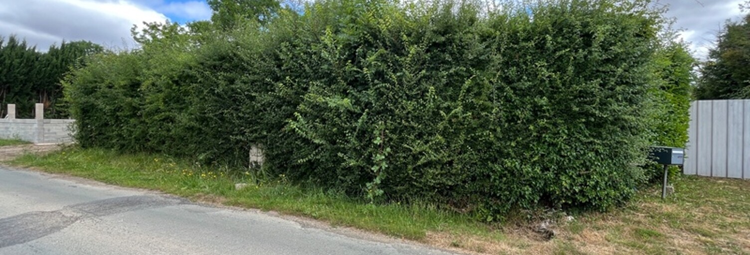 Terrain  606 m² à vendre à Longnes (78980)