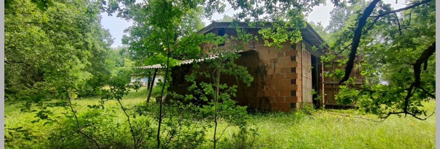 Maison 1 Pièce 170 m² à vendre à Salvagnac (81630)