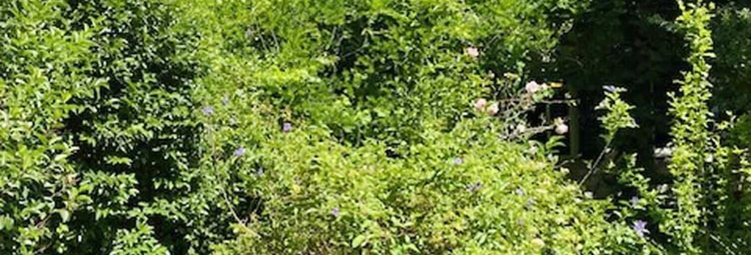 Maison 4 Pièces 116 m² à vendre à Avignon (84000)