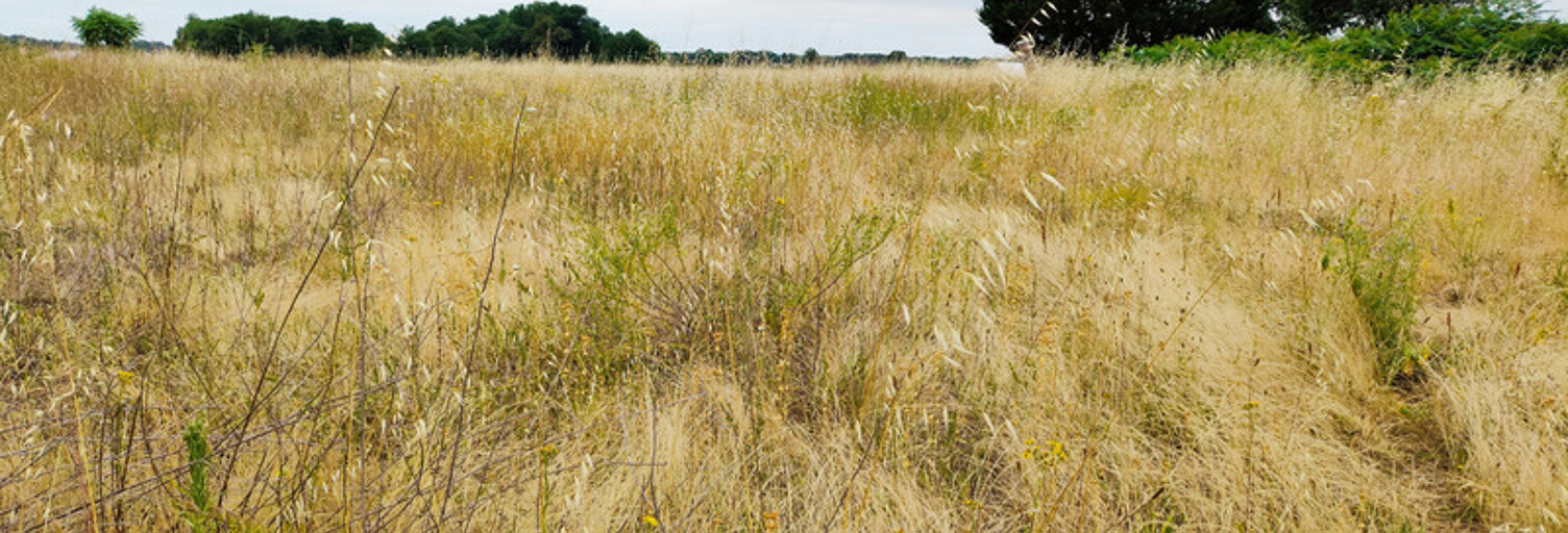 Terrain  3799 m² à vendre à Saint-Hilaire-du-Bois (17500)