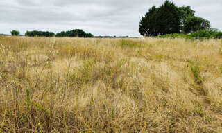 Terrain  3799 m² à vendre à Saint-Hilaire-du-Bois (17500)