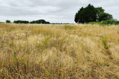 Terrain  34000 €
