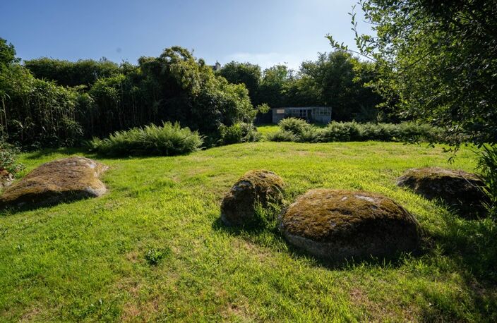 Terrain 1256m² — photo 2