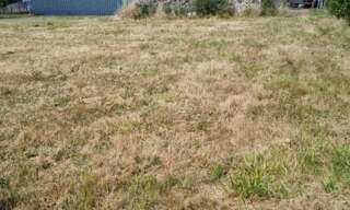 Terrain  3511 m² à vendre à Lorris (45260)