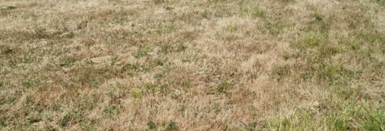 Terrain  3511 m² à vendre à Lorris (45260)