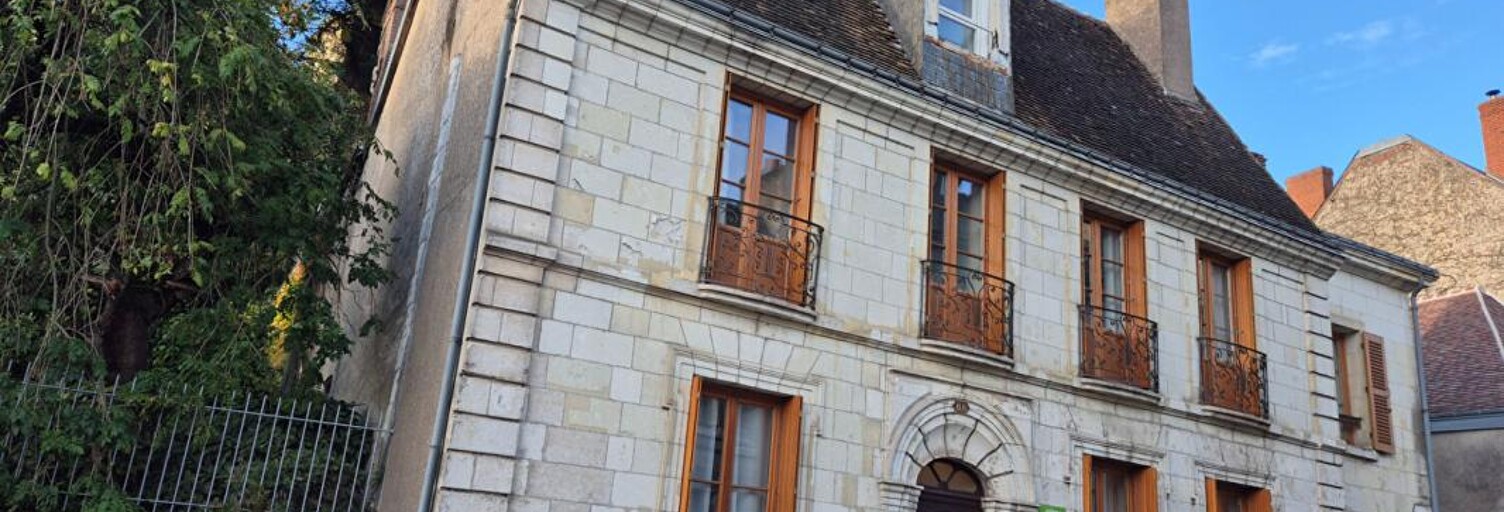 Maison 11 Pièces 330 m² à vendre à Château-Renault (37110)