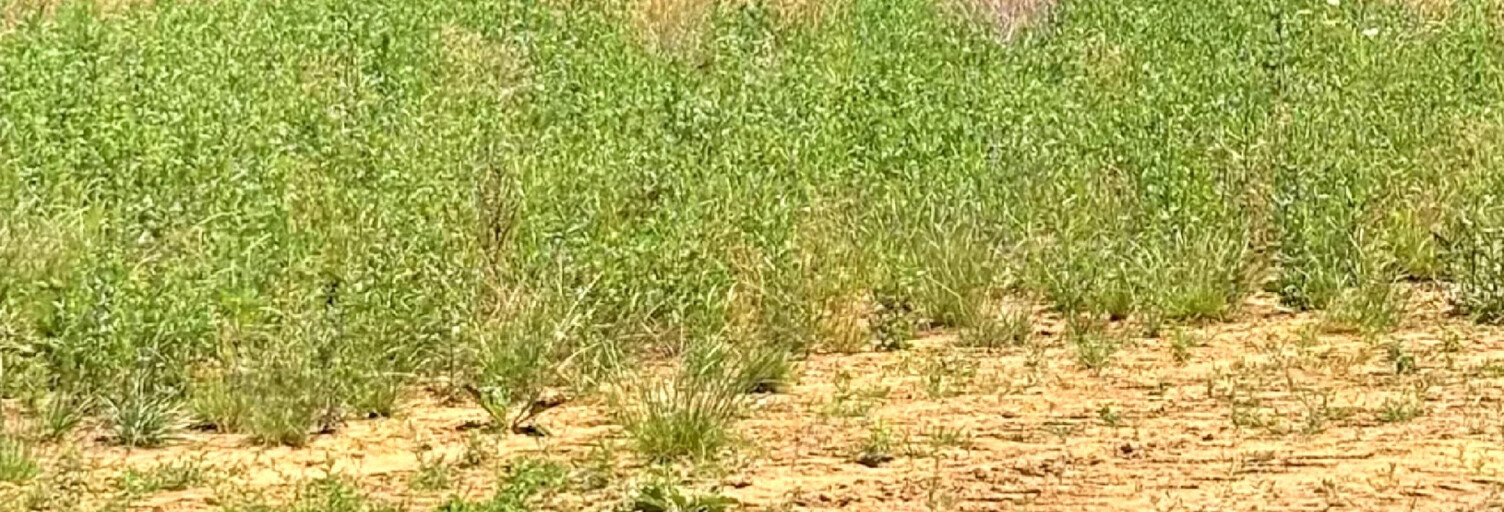 Terrain  480 m² à vendre à Pfulgriesheim (67370)