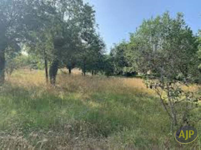 Terrain constructible de 1149 m2 à Lège — photo du bien