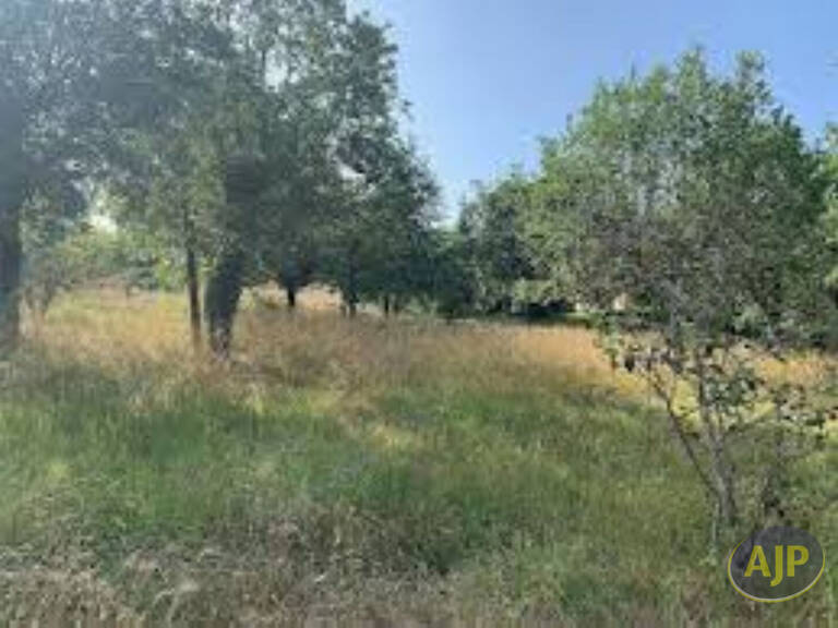 Terrain constructible de 1149 m2 à Lège — photo 1