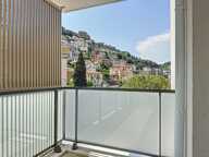 F2. NICE / PESSICART / TERRASSE — photo 2