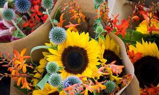 Commerce  113 m² à vendre à Paris 17 (75017)