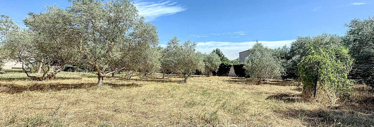 Terrain  778 m² à vendre à Carpentras (84200)