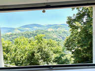 BRUSSIEU 15 MN DE L'ARBRESLE MAISON 82 M2 DANS UN ÉCRIN DE V — photo 3
