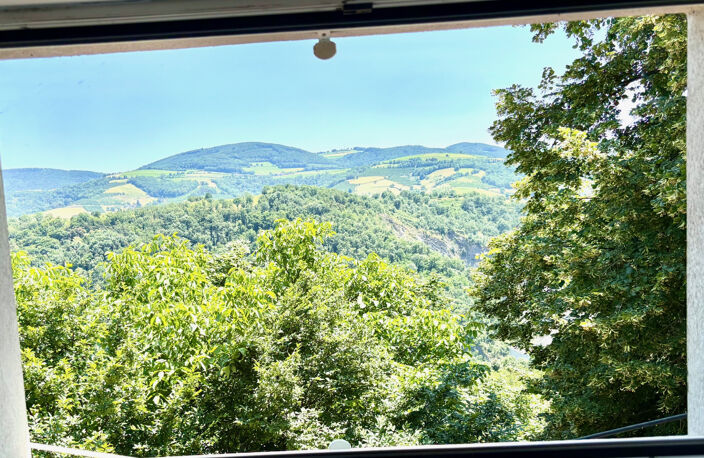 BRUSSIEU 15 MN DE L'ARBRESLE MAISON 82 M2 DANS UN ÉCRIN DE V — photo 3