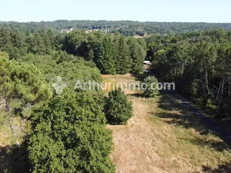 Terrain à bâtir - 3390 m² — photo 1