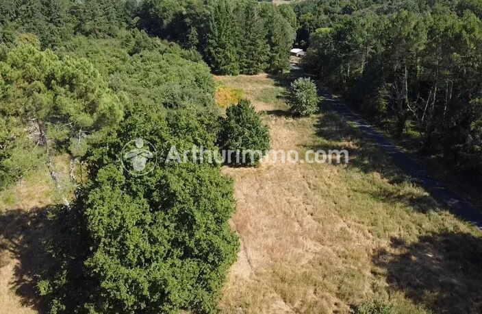 Terrain à bâtir - 3390 m² — photo 2