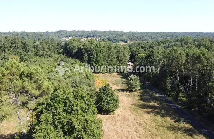 Terrain à bâtir - 3390 m² — photo 3
