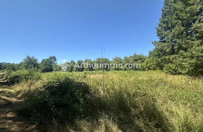 Terrain à bâtir - 3390 m² — photo 5