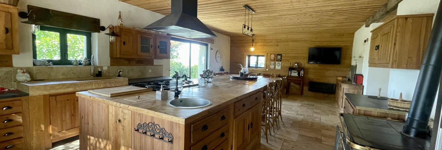 Maison 15 Pièces 387 m² à vendre à Vernioz (38150)