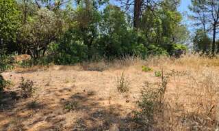 Terrain  659 m² à vendre à Saint-Maximin-la-Sainte-Baume (83470)