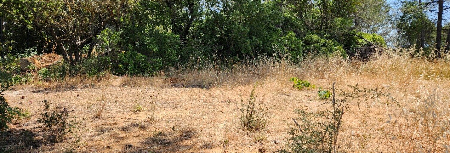 Terrain  659 m² à vendre à Saint-Maximin-la-Sainte-Baume (83470)