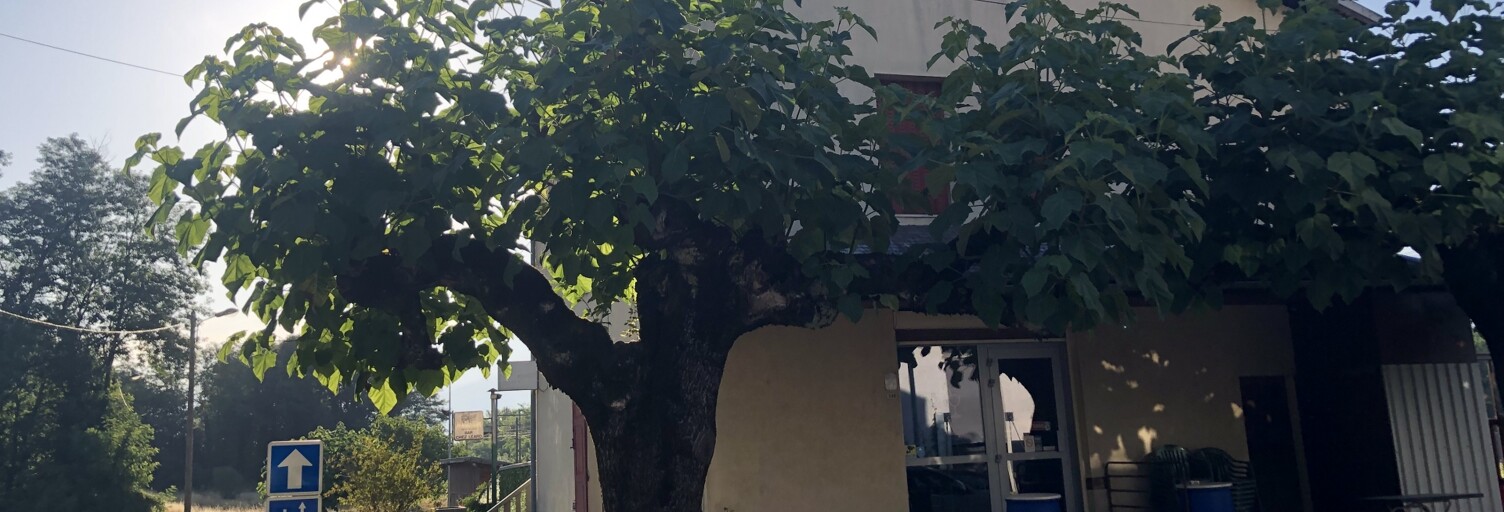 Maison 10 Pièces 357 m² à vendre à Saint-Pierre-d'Albigny (73250)