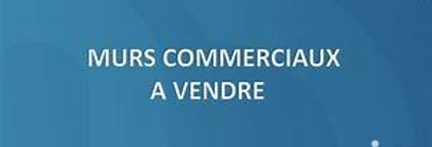 Appartement 1 Pièce 35 m² à vendre à Saint-Mandé (94160)