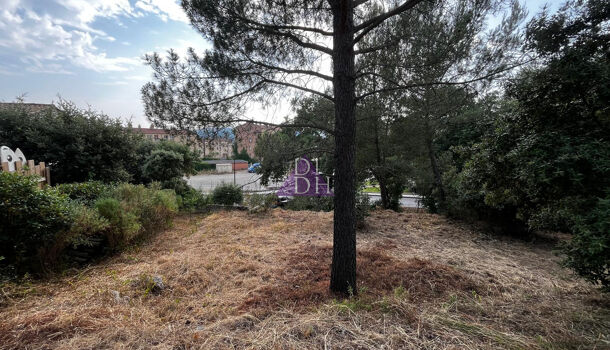 Terrain  à vendre Pierrefeu-du-Var 83390