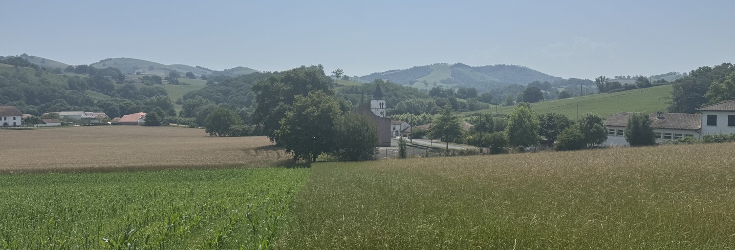 Terrain  2696 m² à vendre à Méharin (64120)