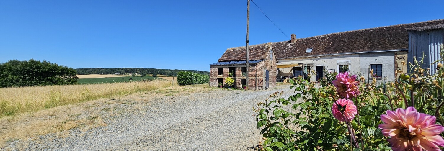 Maison 7 Pièces 140 m² à vendre à Le Plessis-Dorin (41170)