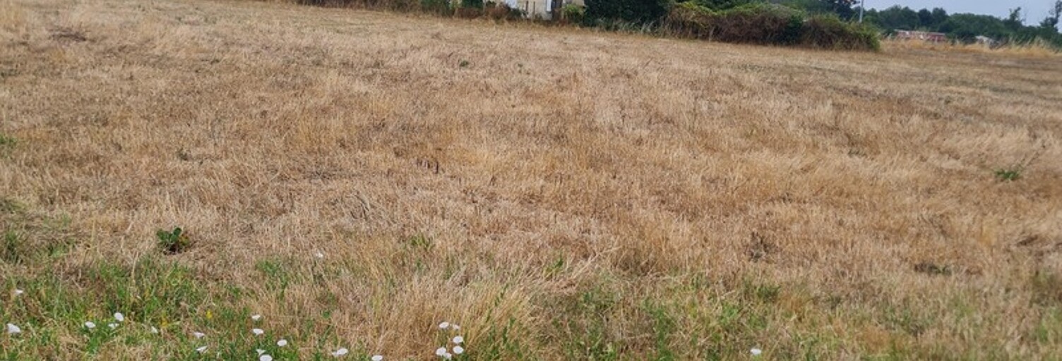 Terrain  881 m² à vendre à Coutras (33230)