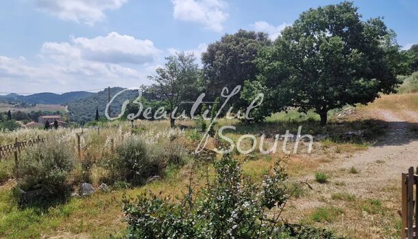 Villa / Maison 6 pièces  à vendre Bélesta 66720