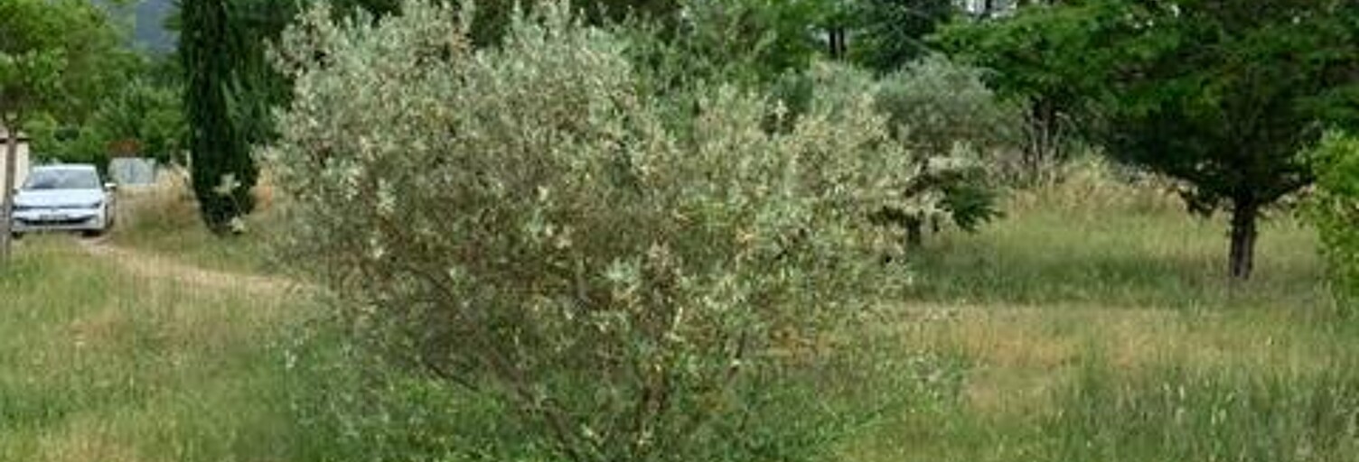 Terrain 1000 m² à construire Villecroze (83690)