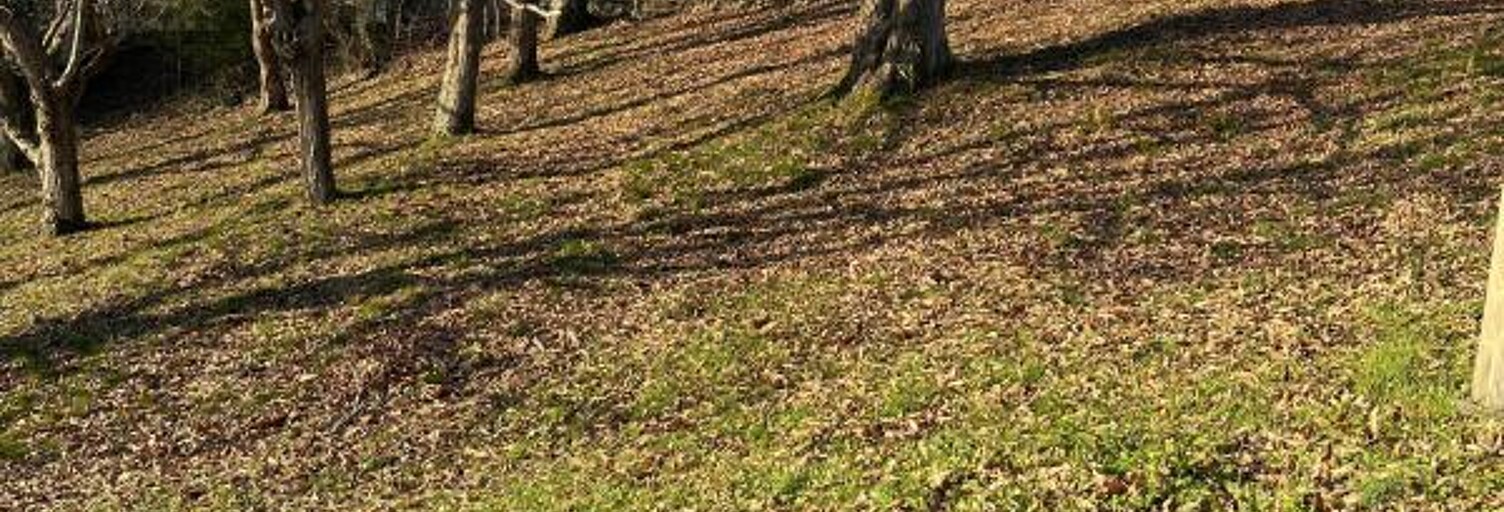 Terrain  1554 m² à vendre à Mouguerre (64990)