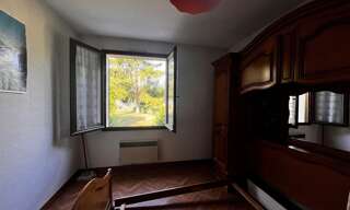 Photo N° 6