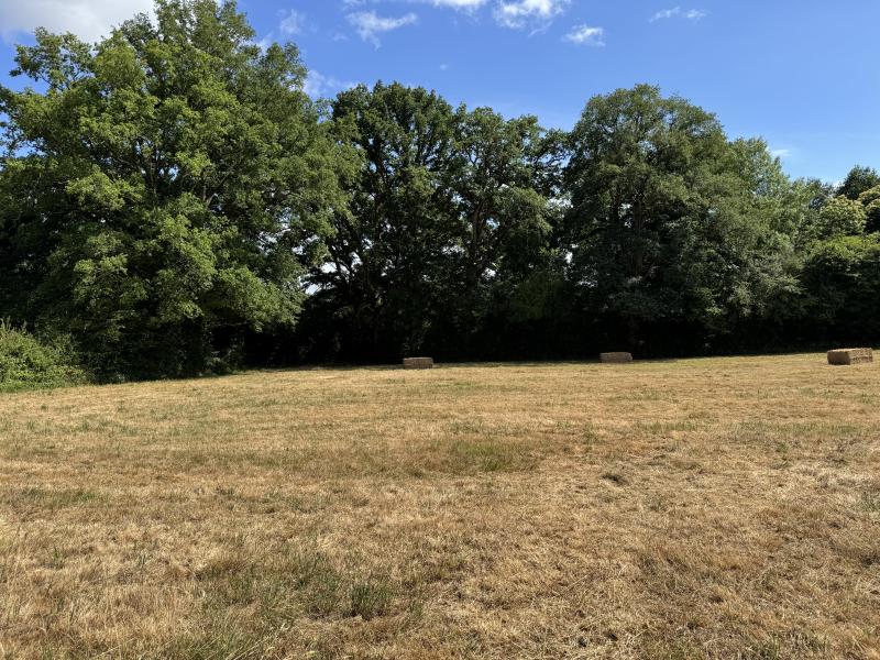 Terrain  à vendre Châteaubriant 44110