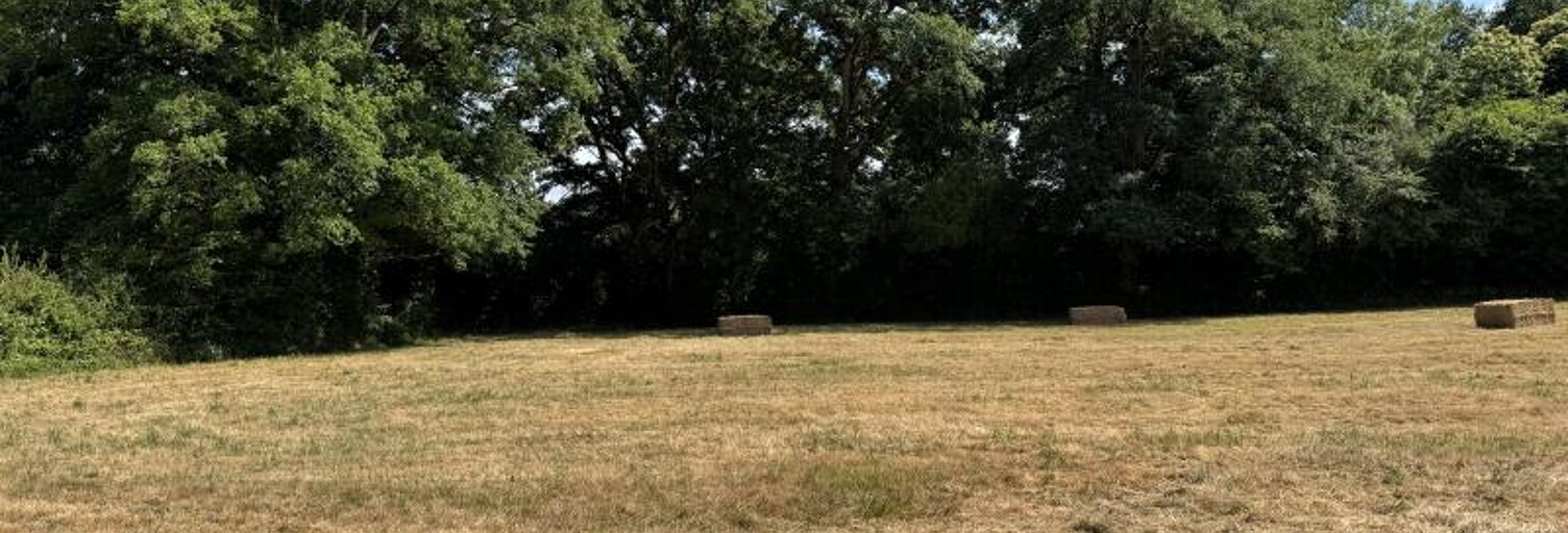 Terrain  896 m² à vendre à Châteaubriant (44110)